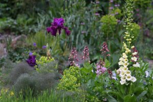 Old Germantown Gardens