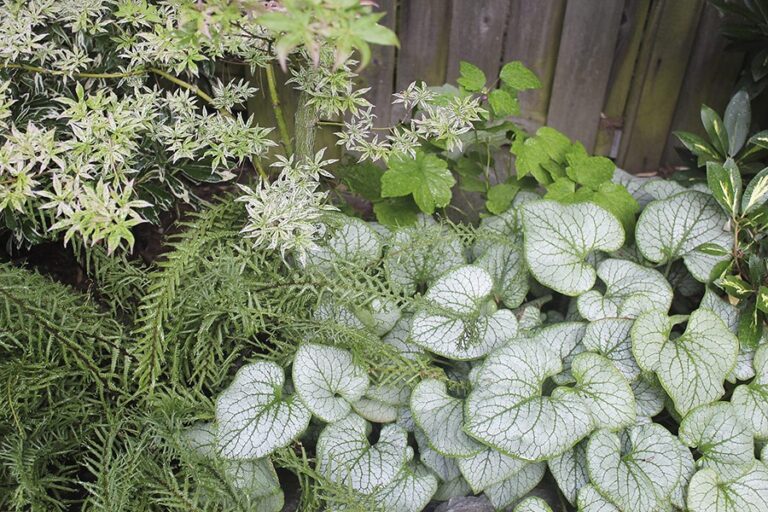 Gardening in the Pacific Northwest: The Complete Homeowner’s Guide