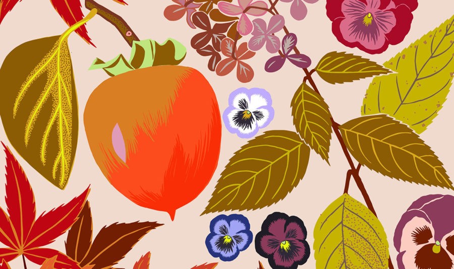 Kate Blairstone Botanical Illustration4