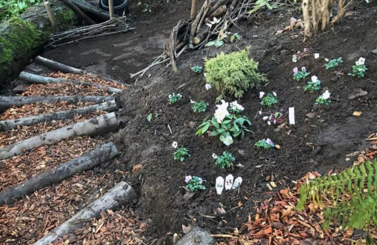 Vanessa Gardner Nagel Fascine - Ravine Renovation