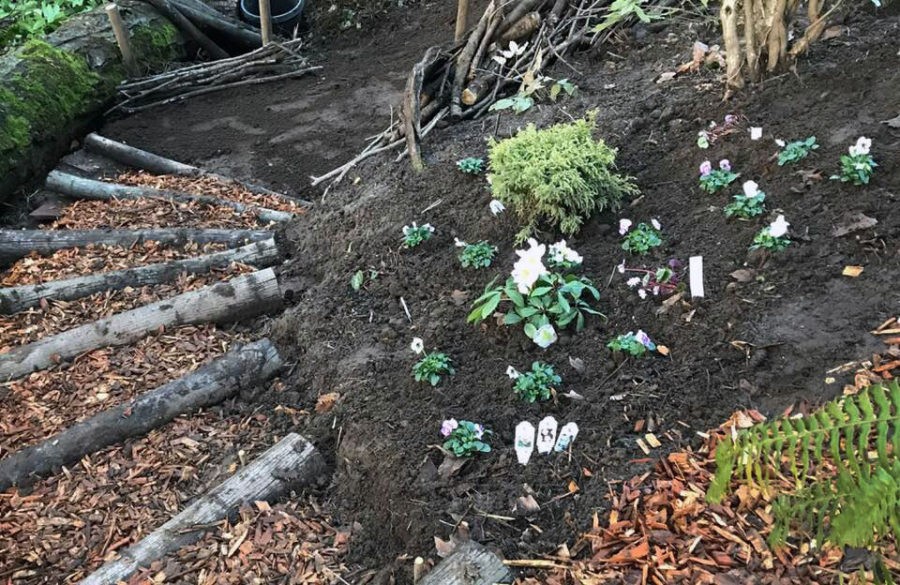 Vanessa Gardner Nagel Fascine - Ravine Renovation