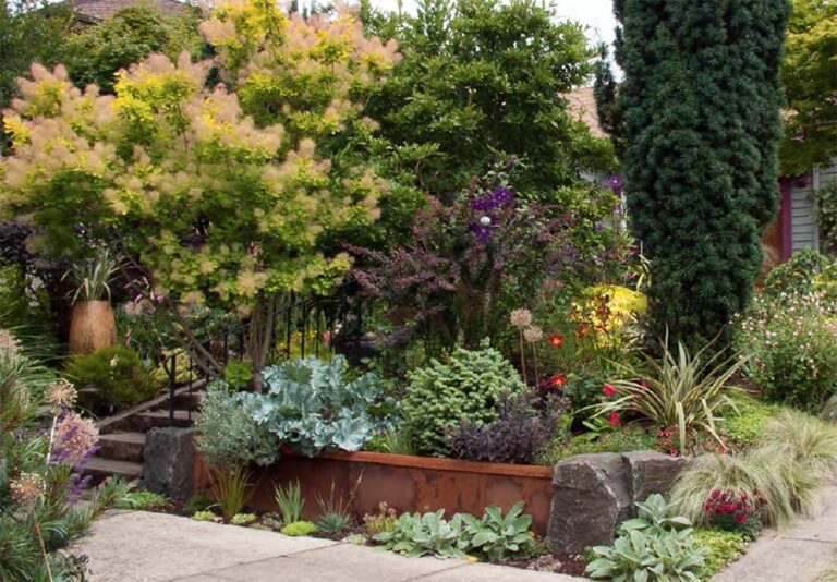 Plant selection and design with Darcy Daniels