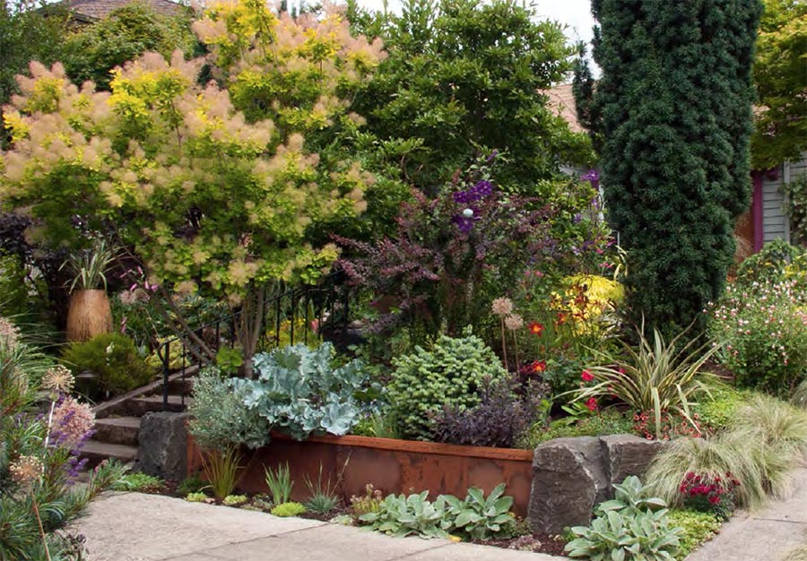 Plant selection and design with Darcy Daniels