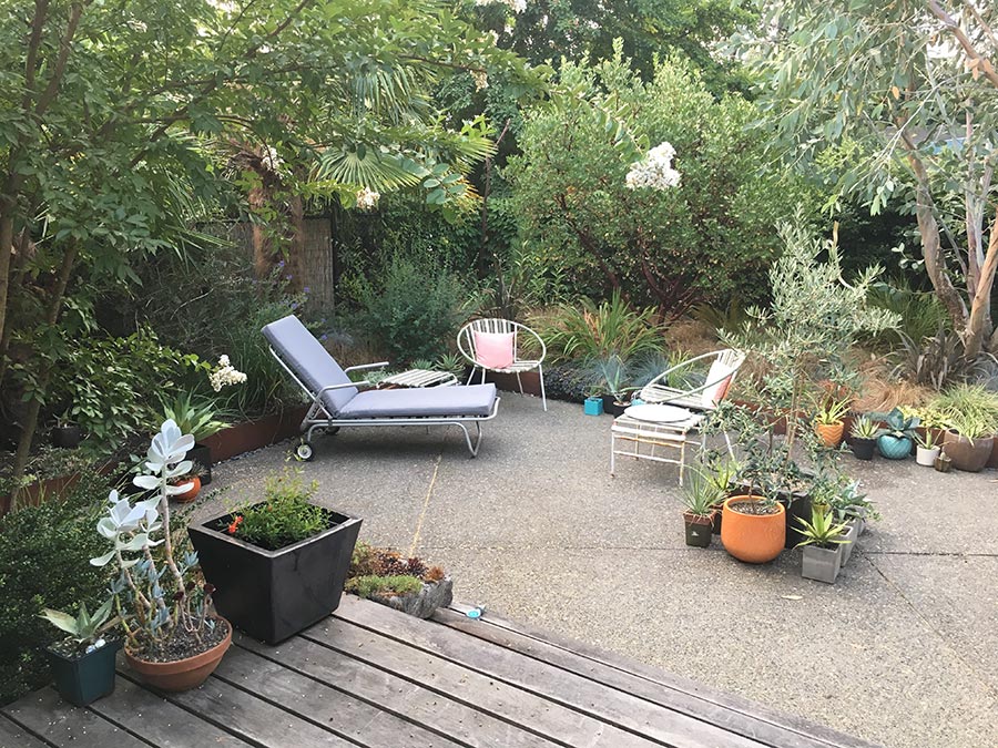 Jane Finch-Howell Garden