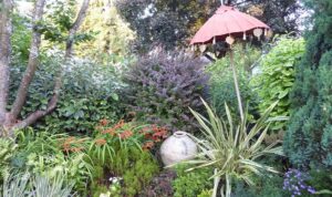 Thomas Vetter Garden