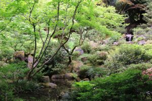 Portland Japanese Garden - Natural Garden