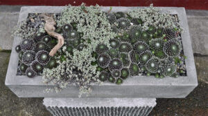 Bob Hyland Contained Exuberance