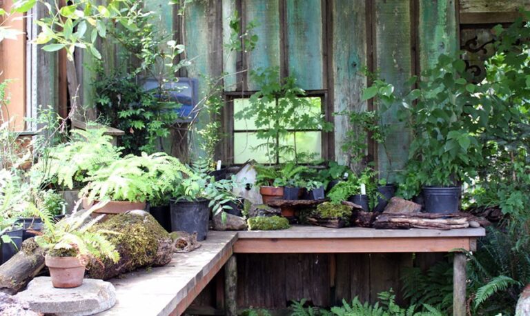 Native Plants for Oregon Gardens at Bosky Dell