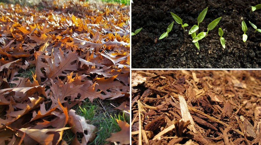 Talking Soil, Mulch, Amendments and more with Heather Havens of Concentrates NW
