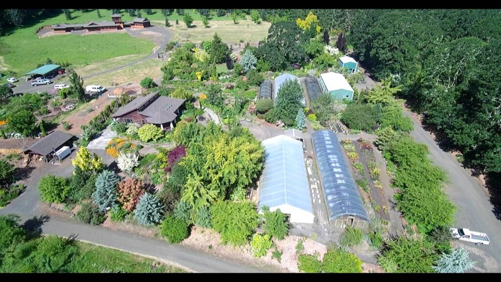 Dancing Oaks Nursery