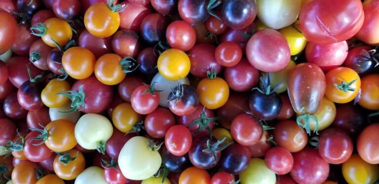 Nursery Interview: Our Little Farm Nursery