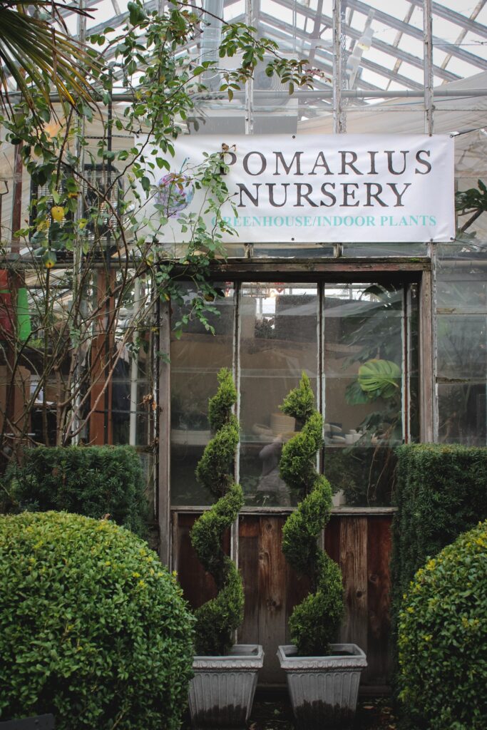Garden Design for Winter Interest with Pomarius Nursery