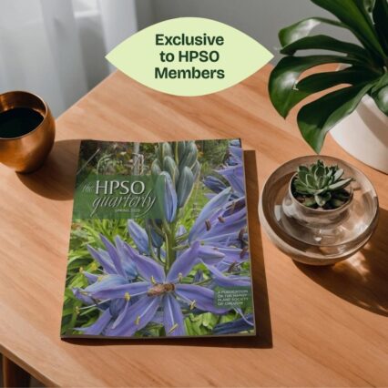 HPSO Quarterly Magazine, Print