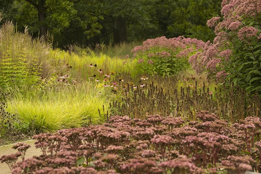 Piet Oudolf & The New Perennial Movement