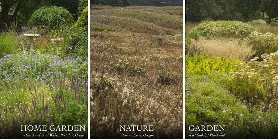 Piet Oudolf & The New Perennial Movement