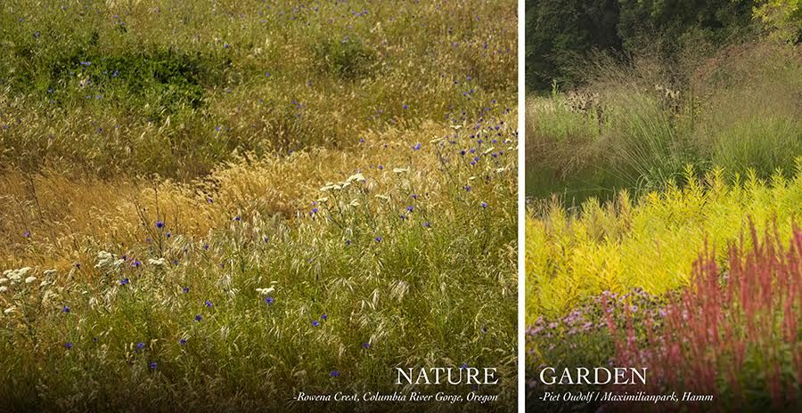 Piet Oudolf & The New Perennial Movement