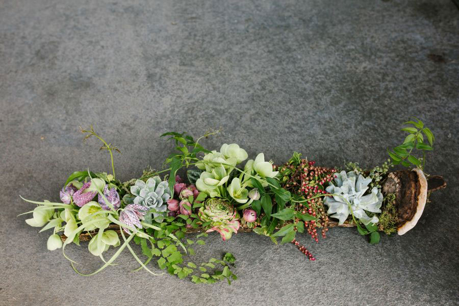 Looking at botanicals through different eyes when designing by Françoise Weeks