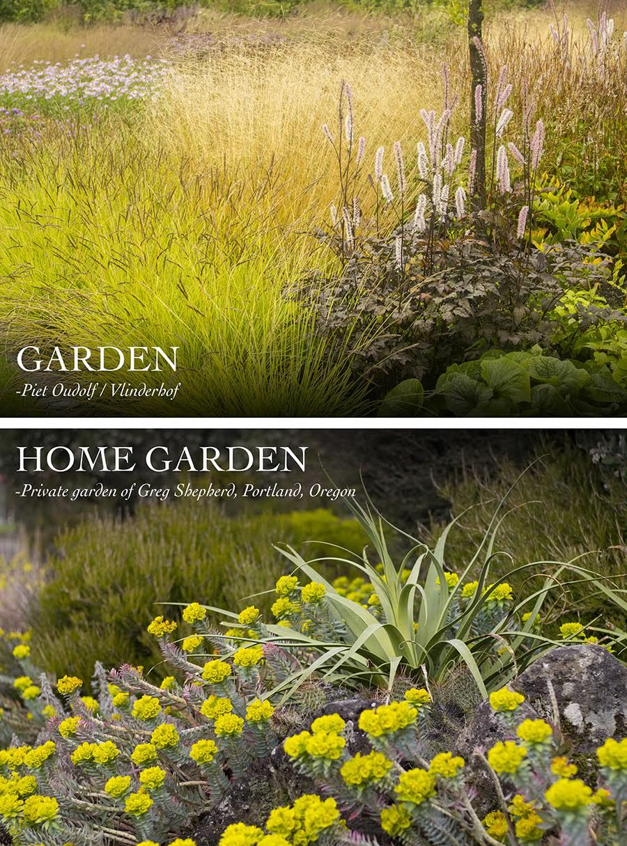 Piet Oudolf & The New Perennial Movement