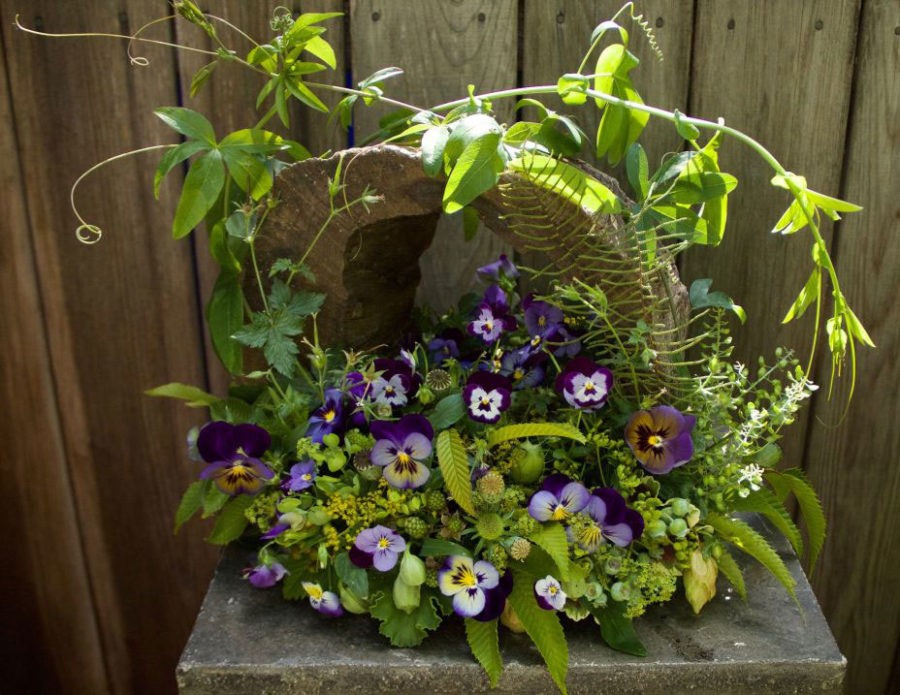 Looking at botanicals through different eyes when designing by Françoise Weeks