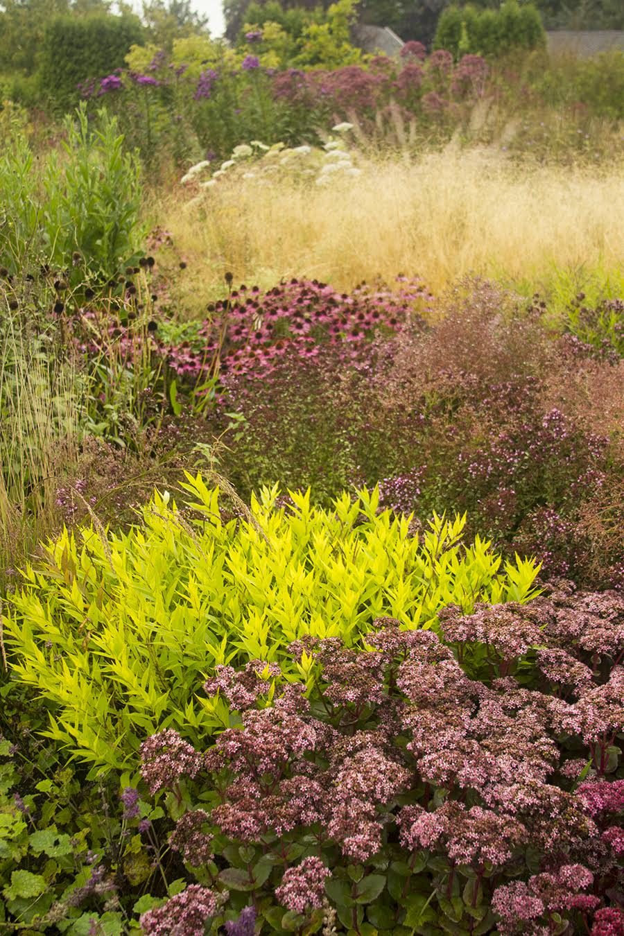 Piet Oudolf & The New Perennial Movement