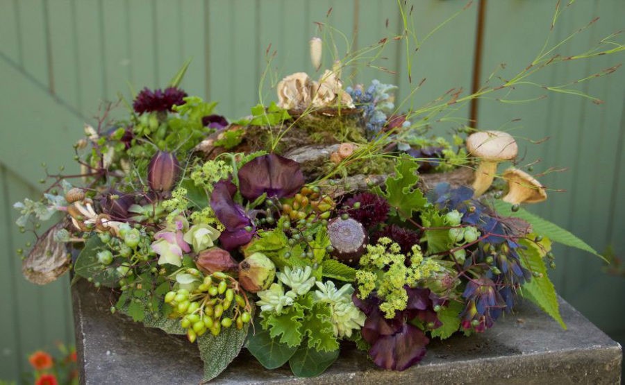 Looking at botanicals through different eyes when designing by Françoise Weeks