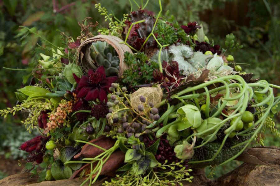 Looking at botanicals through different eyes when designing by Françoise Weeks