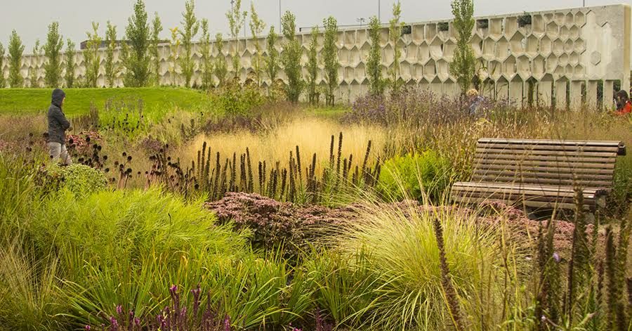 Piet Oudolf & The New Perennial Movement