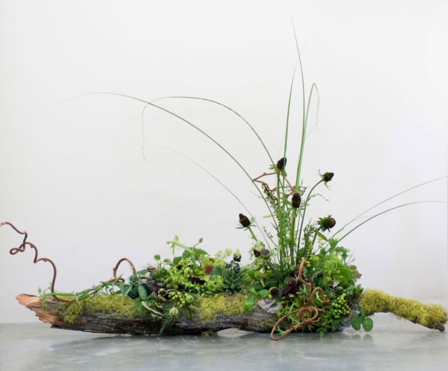 Looking at botanicals through different eyes when designing by Françoise Weeks