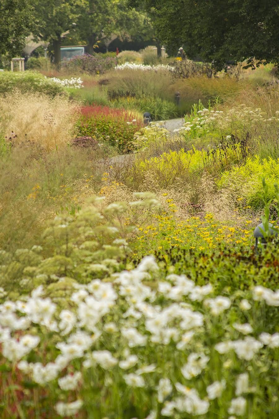 Piet Oudolf & The New Perennial Movement