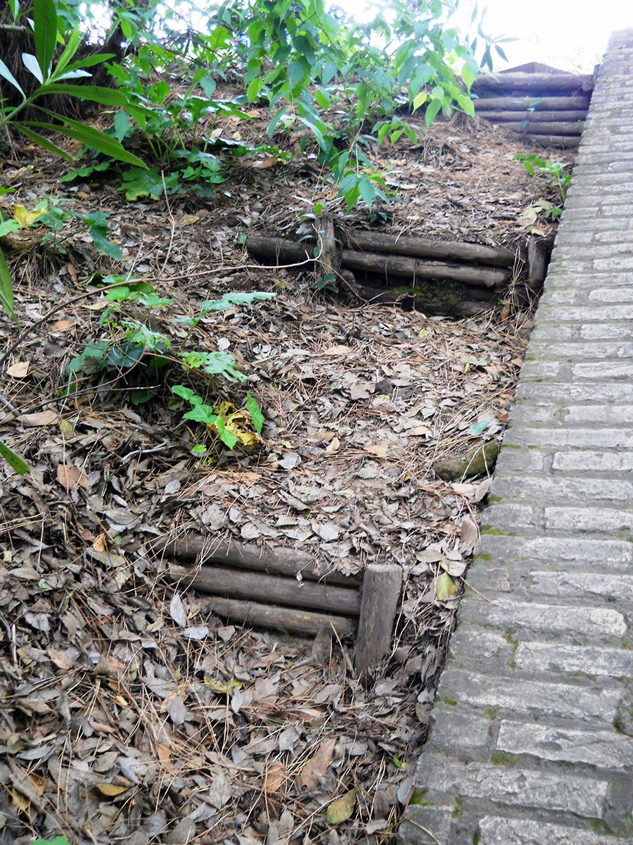Palatine Hill fascine