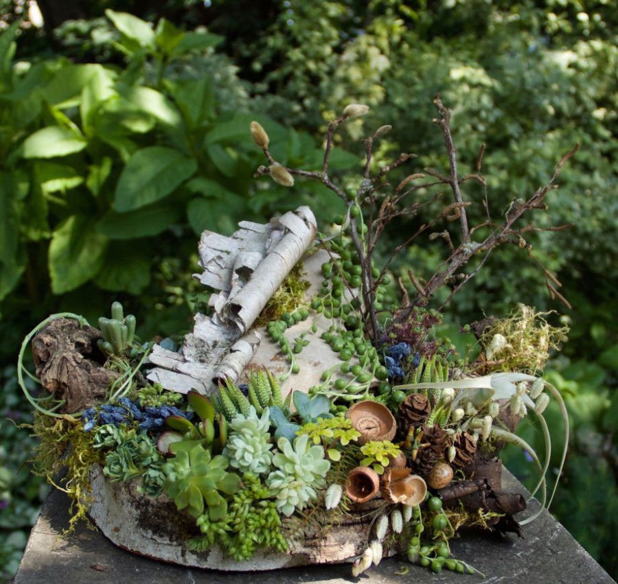 Looking at botanicals through different eyes when designing by Françoise Weeks