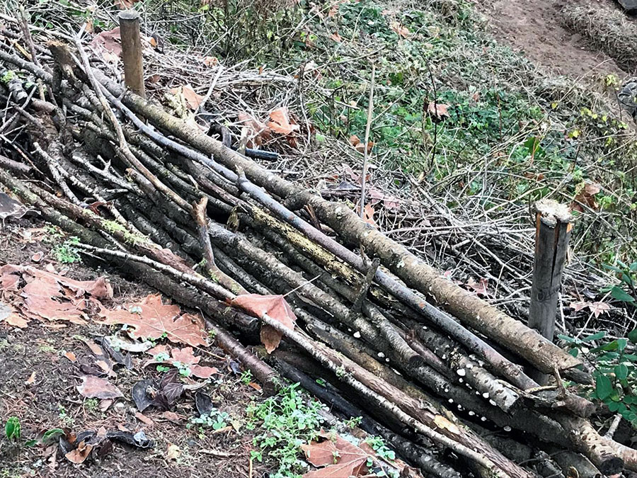 Fascine stakes and branches