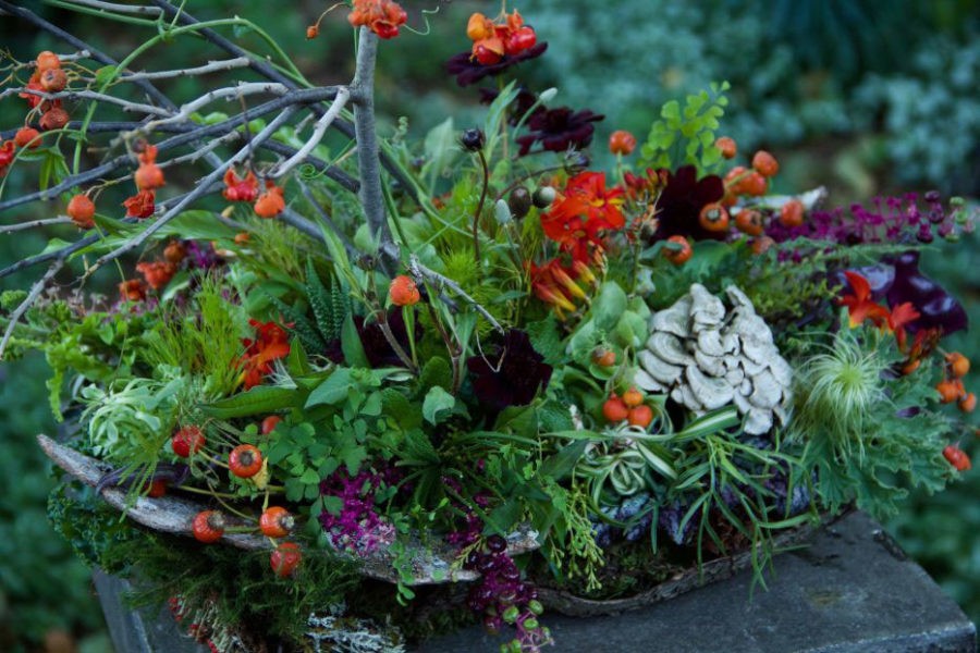 Looking at botanicals through different eyes when designing by Françoise Weeks