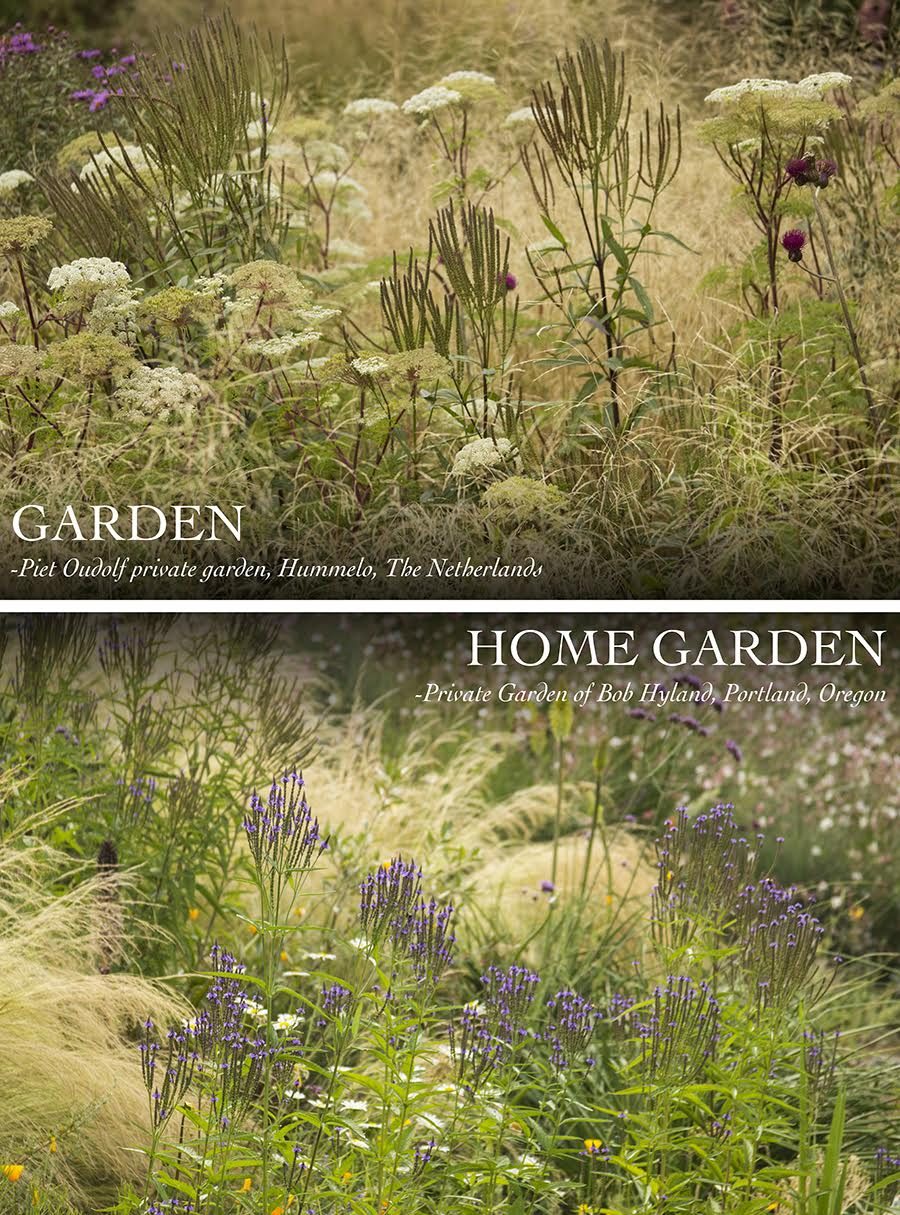 Piet Oudolf & The New Perennial Movement