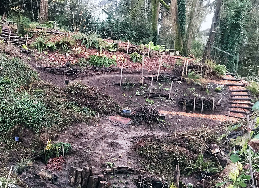 Work in progress garden facscines on a slope