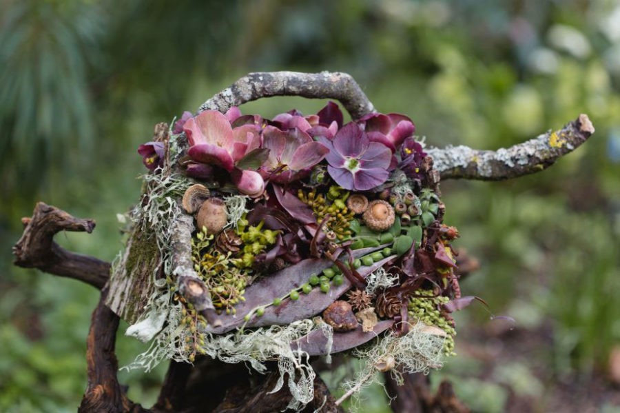 Looking at botanicals through different eyes when designing by Françoise Weeks