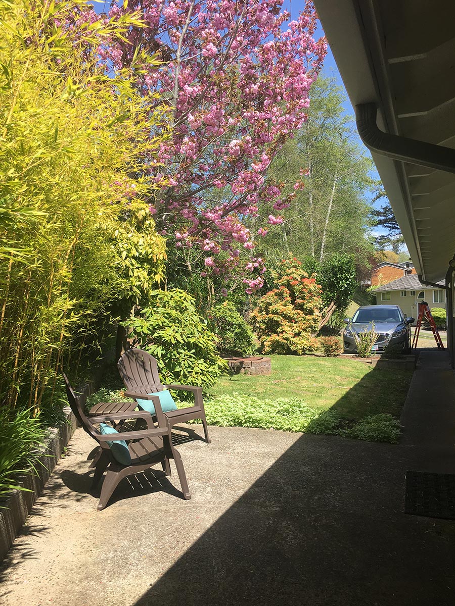 Jane Finch-Howell Garden