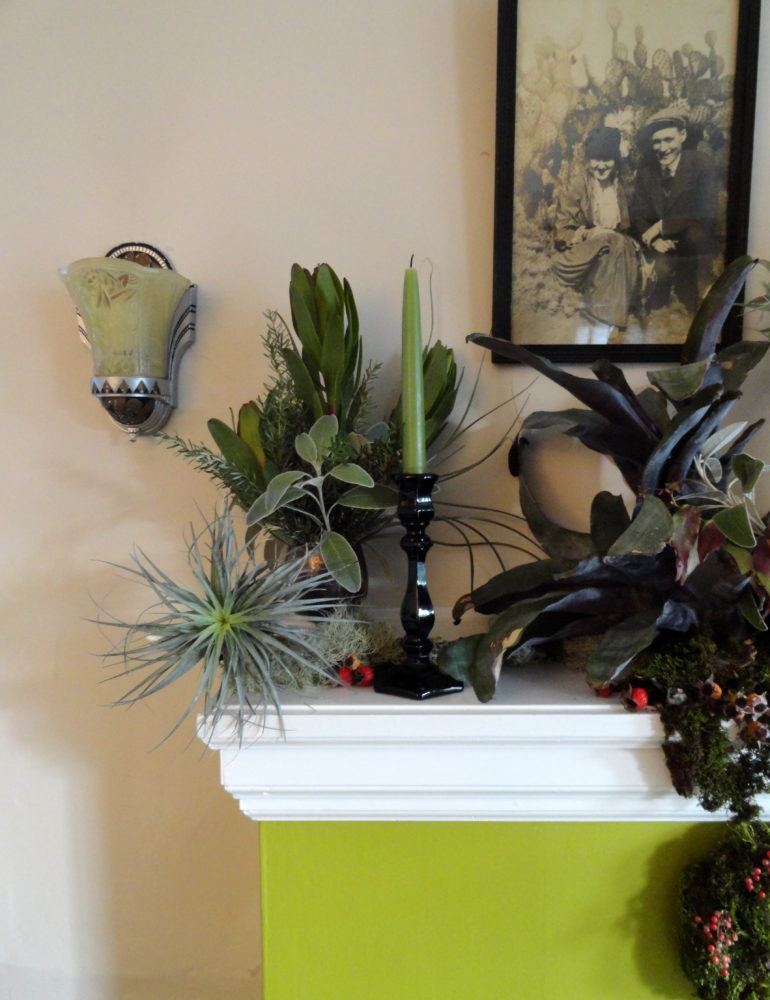 Bringing the Garden Indoors