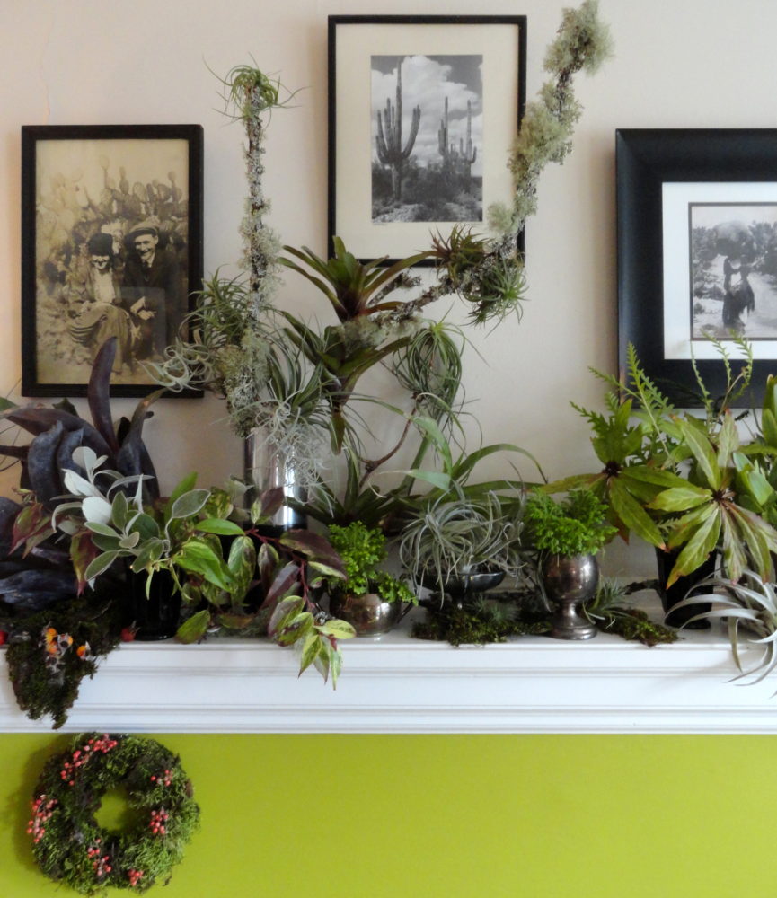 Bringing the Garden Indoors