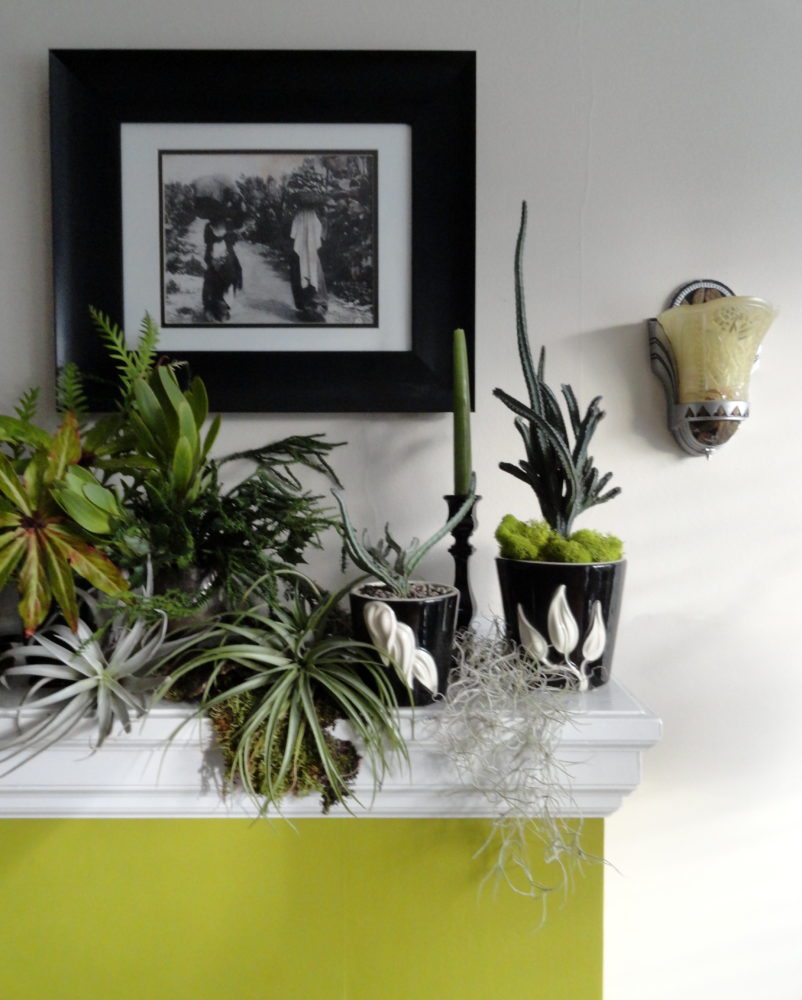 Bringing the Garden Indoors