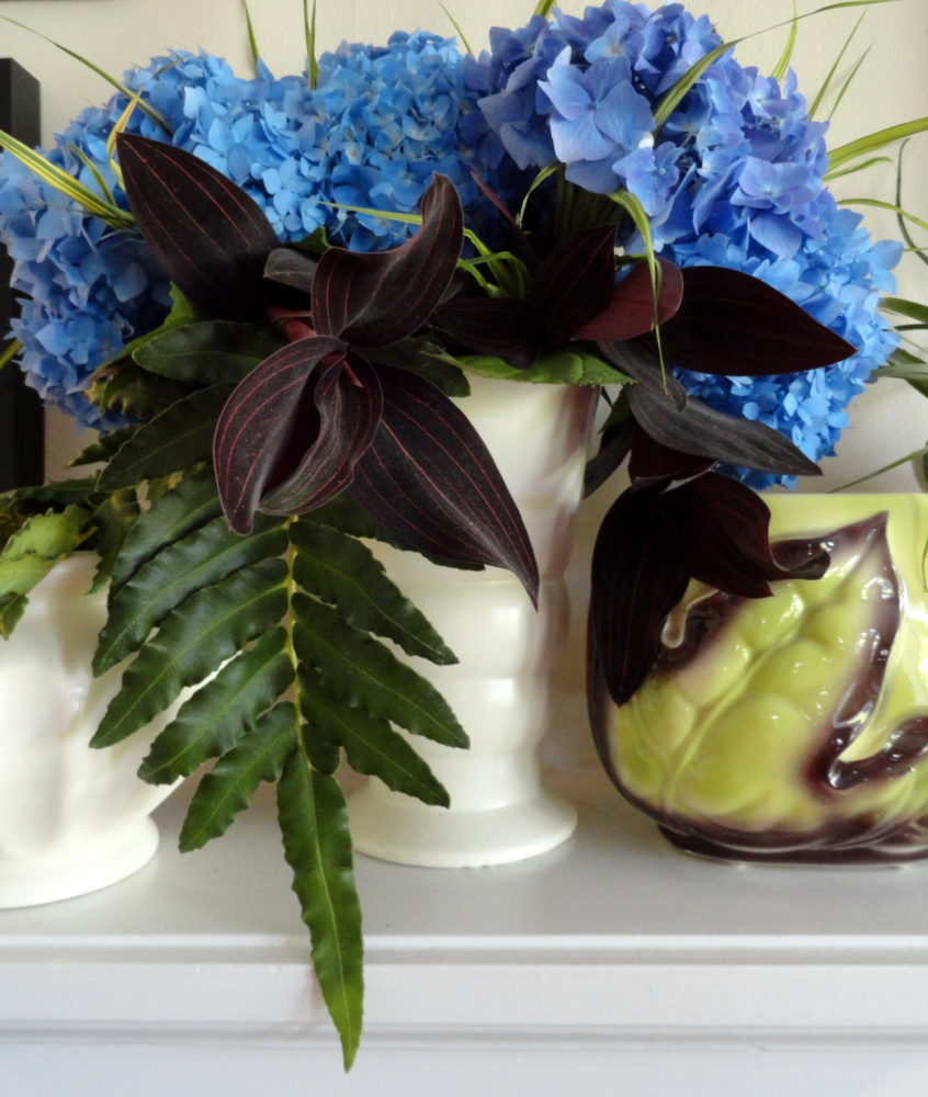 Bringing the Garden Indoors