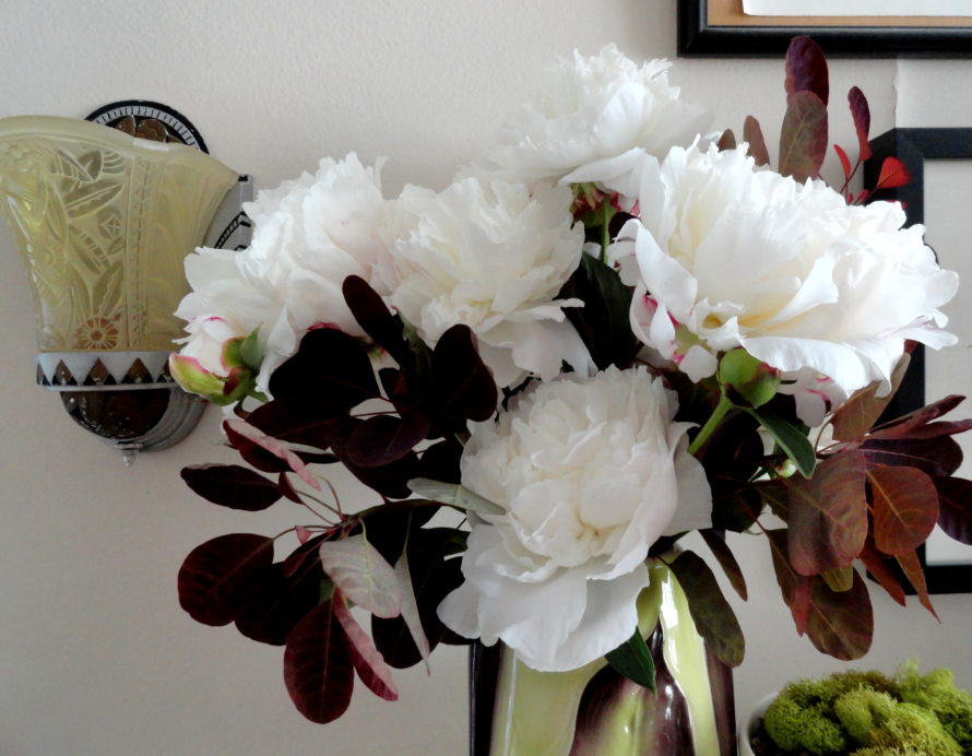 Bringing the Garden Indoors