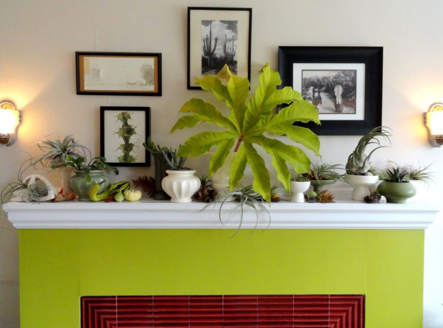 Bringing the Garden Indoors