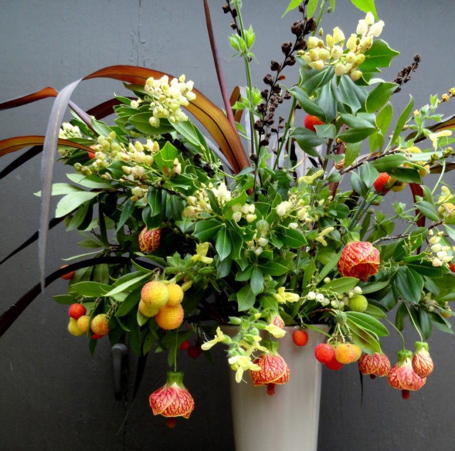 Bringing the Garden Indoors