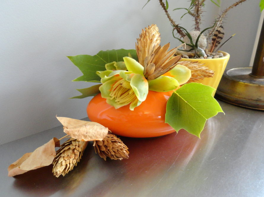 Bringing the Garden Indoors