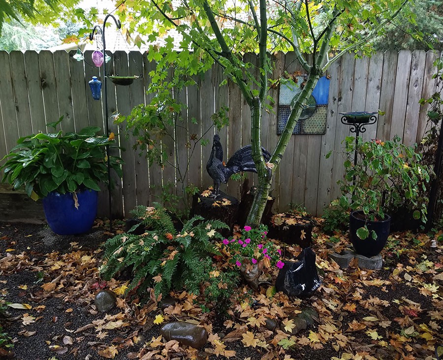Backyard fence bed with second-hand mirror painted by Patricia Hoffman