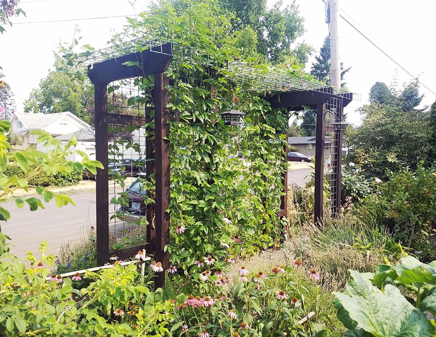 Big trellis can hold a tremendous amount of weight
