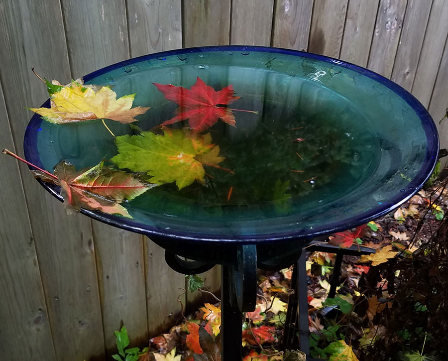 Bird bath made from a secondhand coat rack and bowl