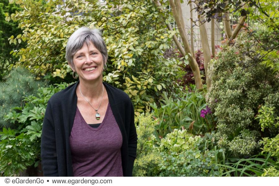 Darcy Daniels Garden Designer