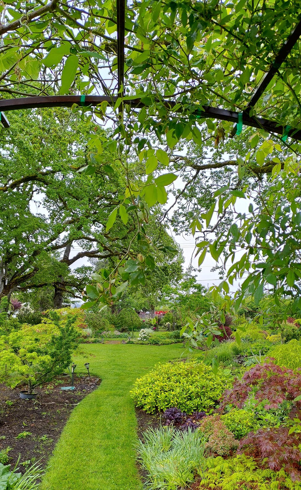 Out in the Garden Nursery